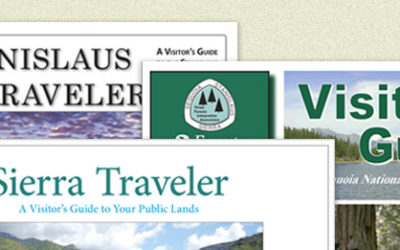 Our Free Forest Visitor Guides